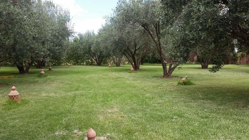 Ouled Bouzid Riad Sidi Hicham מראה חיצוני תמונה