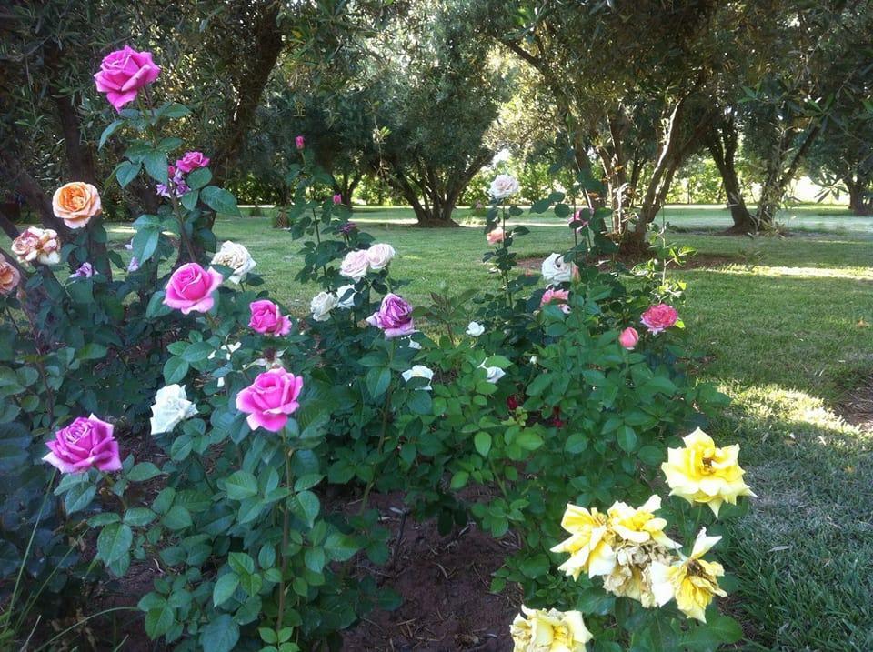 Ouled Bouzid Riad Sidi Hicham מראה חיצוני תמונה