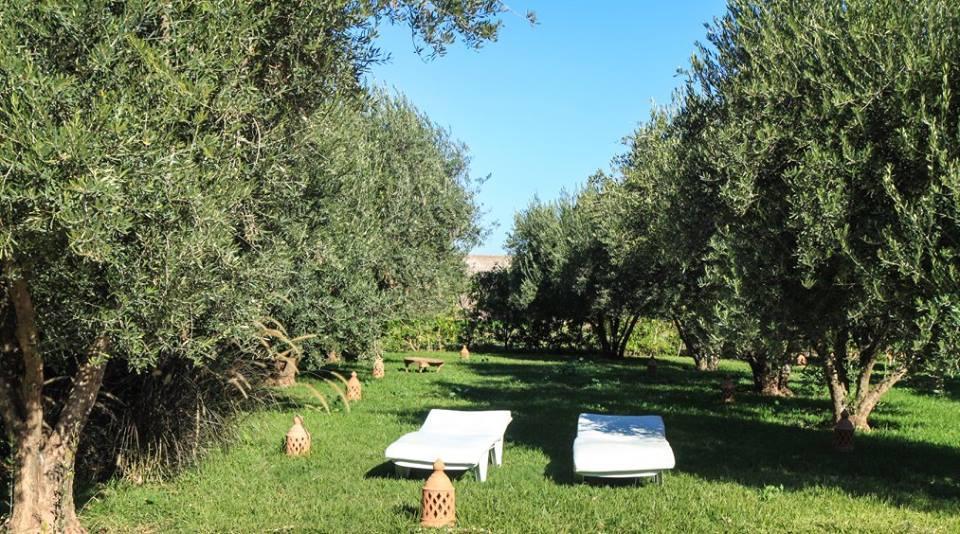 Ouled Bouzid Riad Sidi Hicham מראה חיצוני תמונה
